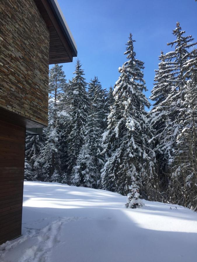 Borovets Chalets Zewnętrze zdjęcie