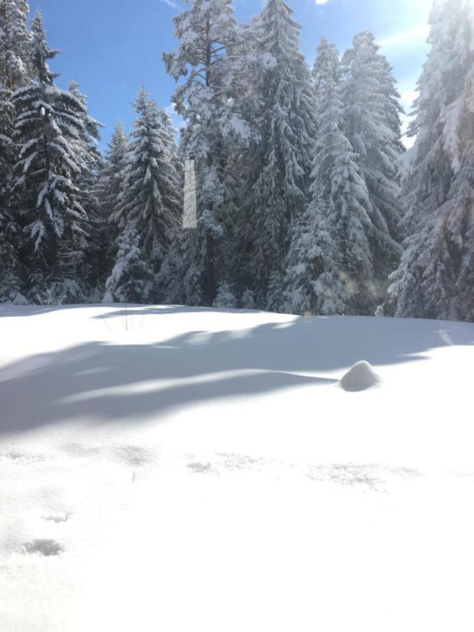 Borovets Chalets Zewnętrze zdjęcie