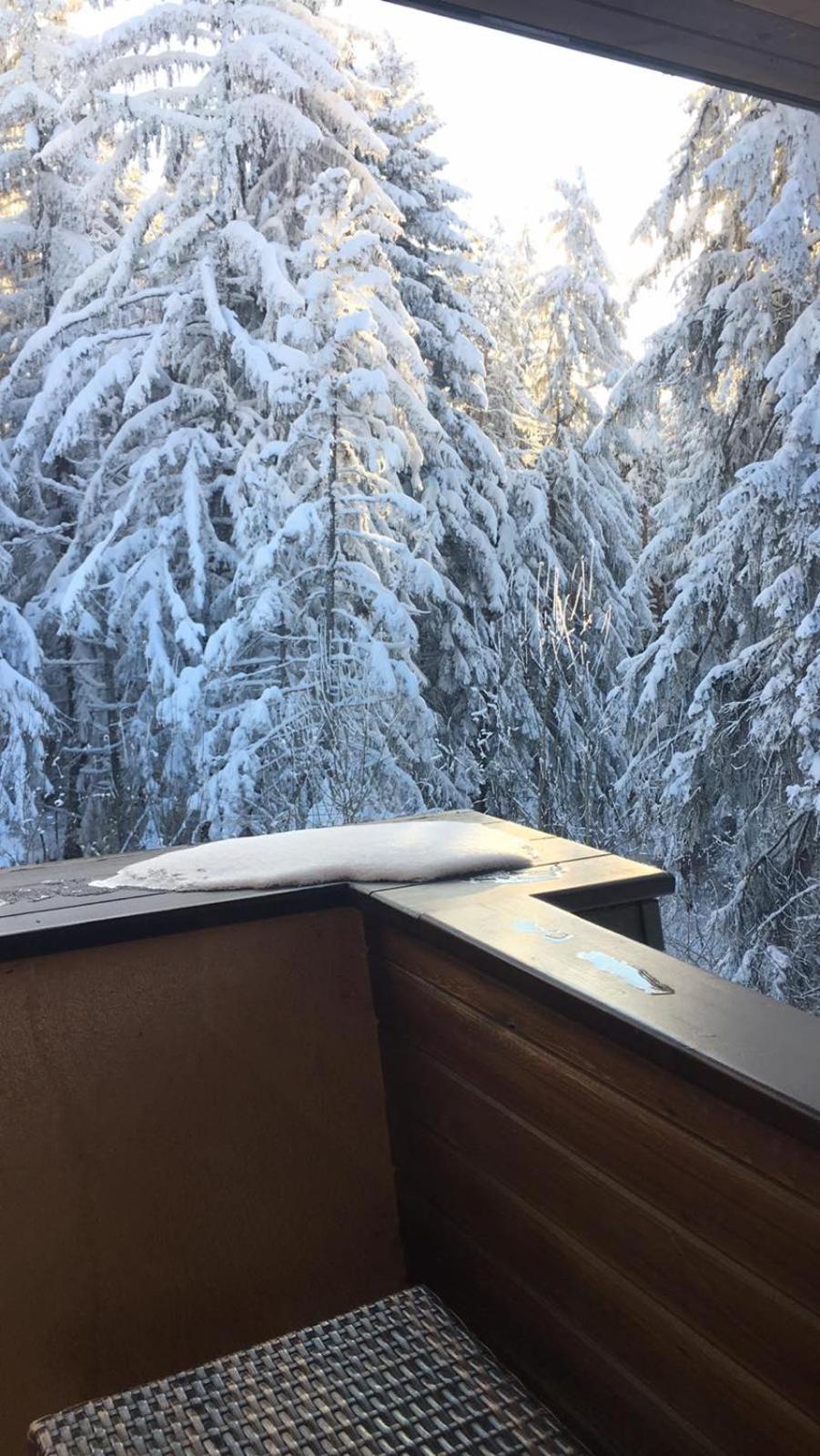 Borovets Chalets Zewnętrze zdjęcie