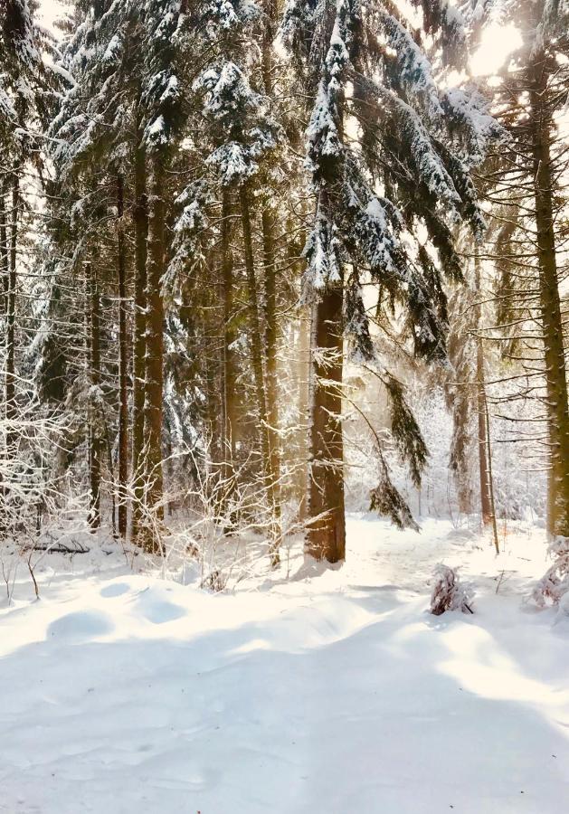 Borovets Chalets Zewnętrze zdjęcie