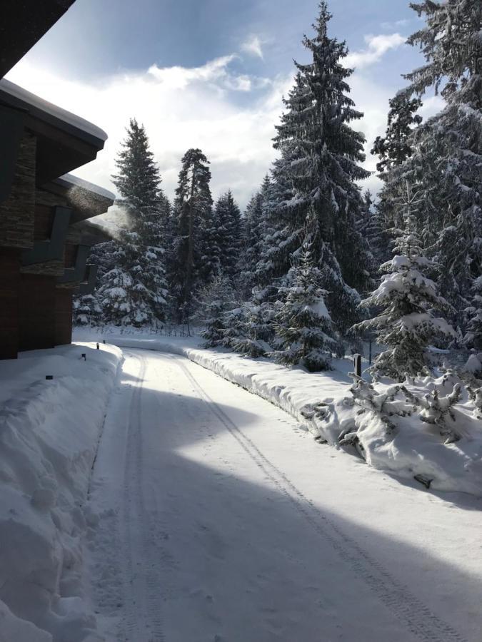 Borovets Chalets Zewnętrze zdjęcie