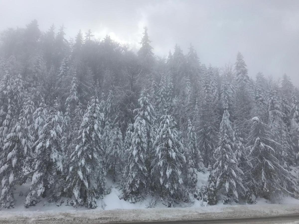 Borovets Chalets Zewnętrze zdjęcie