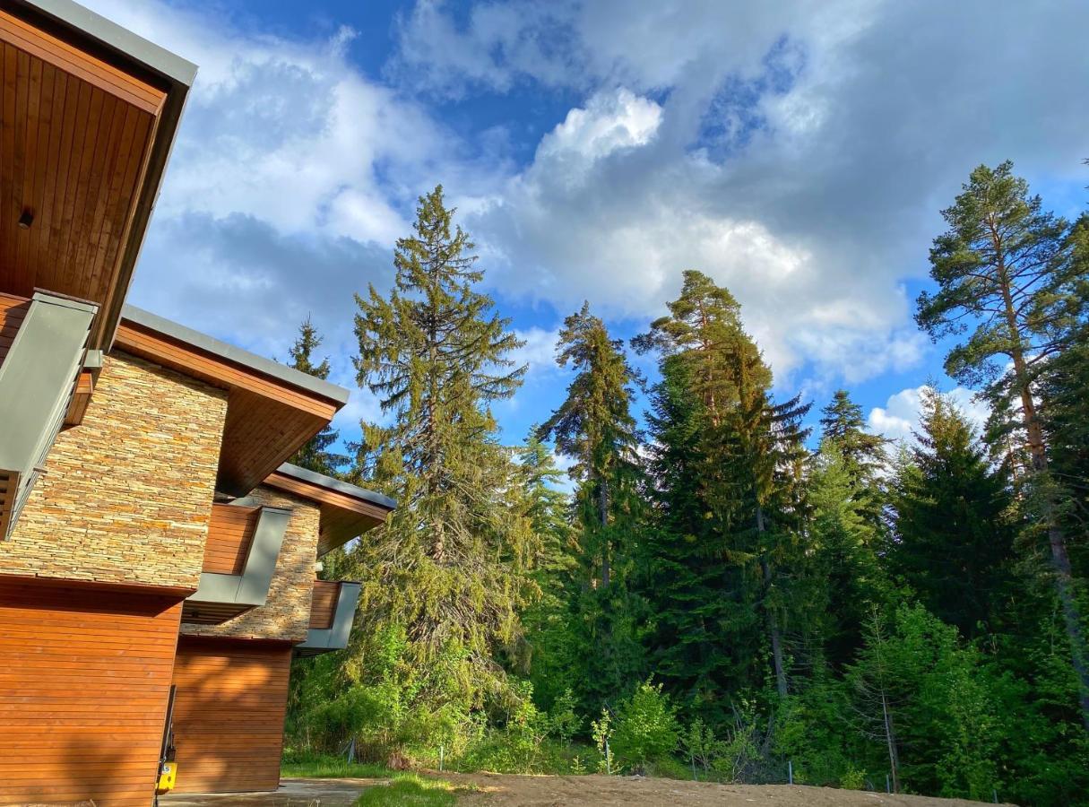 Borovets Chalets Zewnętrze zdjęcie